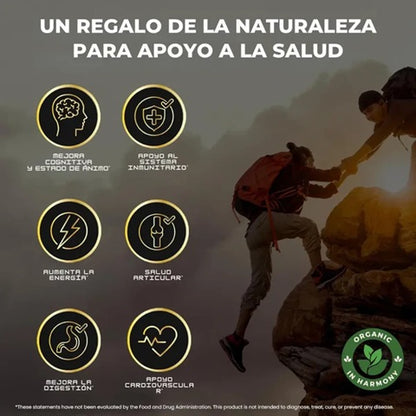 SHILAJIT GUMMIES PREMIUM 160gr - 💪POTENCIALIZA TU TESTOSTERONA🔥